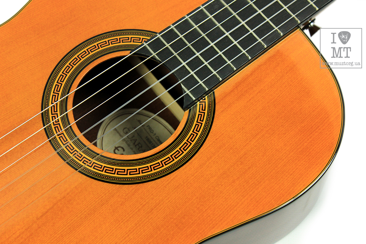 EPIPHONE PRO-1 CLASSIC 2.0 Гітара класична