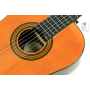 EPIPHONE PRO-1 CLASSIC 2.0 Гітара класична