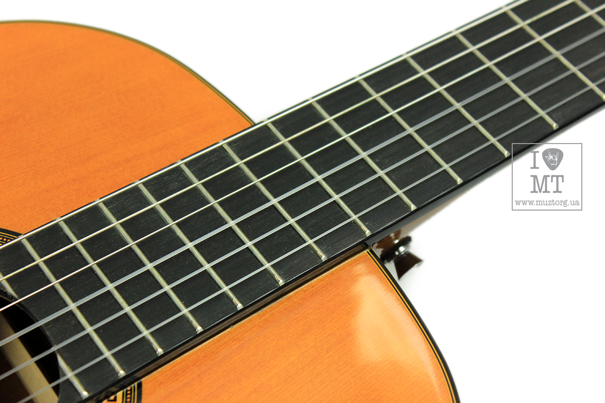 EPIPHONE PRO-1 CLASSIC 2.0 Гітара класична