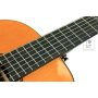 EPIPHONE PRO-1 CLASSIC 2.0 Гітара класична