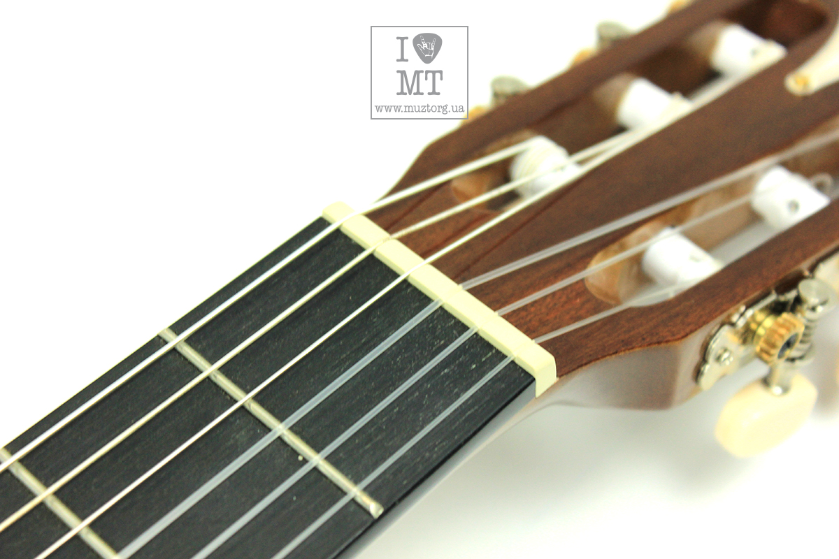 EPIPHONE PRO-1 CLASSIC 2.0 Гітара класична