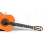 EPIPHONE PRO-1 CLASSIC 1.75 Гитара классическая