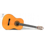 EPIPHONE PRO-1 CLASSIC 1.75 Гитара классическая