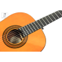 EPIPHONE PRO-1 CLASSIC 1.75 Гитара классическая