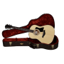 TAYLOR GUITARS 317e Гітара електроакустична