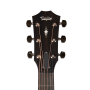 TAYLOR GUITARS 317e Гітара електроакустична