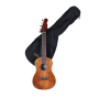 FENDER MONTECITO TENOR UKULELE NAT Укулеле
