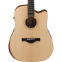IBANEZ AW150CE OPN Гітара електроакустична