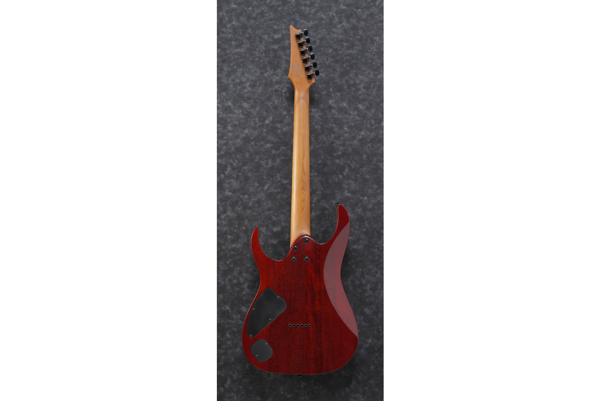 IBANEZ RG421HPAM ABL Електрогітара