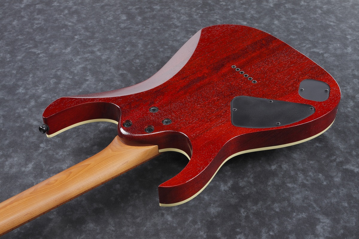 IBANEZ RG421HPAM ABL Електрогітара