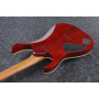 IBANEZ RG421HPAM ABL Електрогітара