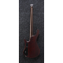 IBANEZ EHB1505 DEF Бас-гитара