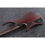 IBANEZ EHB1505 DEF Бас-гитара