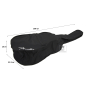 Гитара акустическая FENDER FA-125 WN NAT w/GIG BAG