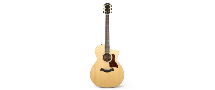 TAYLOR GUITARS 214ce-SG LTD Гітара електроакустична