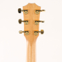 TAYLOR GUITARS 214ce-SG LTD Гітара електроакустична