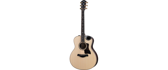 TAYLOR GUITARS 816ce BUILDERS EDITION Гитара электроакустическая