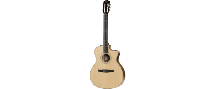 TAYLOR GUITARS 214CE-N ROSEWOOD Гітара електроакустична