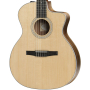 TAYLOR GUITARS 214CE-N ROSEWOOD Гітара електроакустична