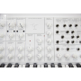 KORG MS-20 FS WHITE Синтезатор