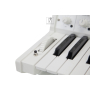 KORG MS-20 FS WHITE Синтезатор