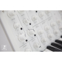KORG MS-20 FS WHITE Синтезатор