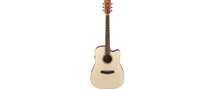 IBANEZ PF10CE OPN Гітара електроакустична