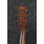 IBANEZ PF10CE OPN Гітара електроакустична