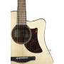 IBANEZ AAD300CE LGS Гітара електроакустична
