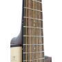 IBANEZ AAD300CE LGS Гітара електроакустична