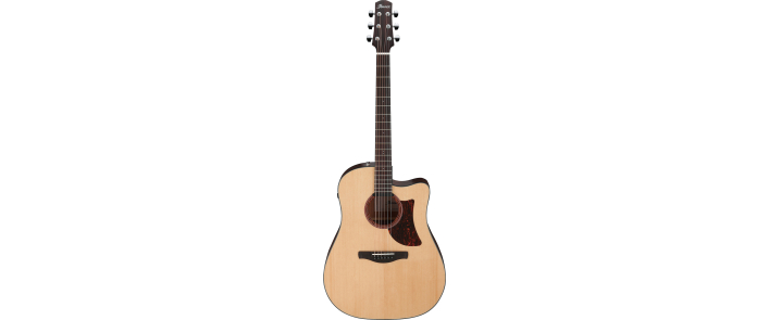 IBANEZ AAD170CE LGS Гитара электроакустическая