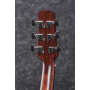 IBANEZ AAD170CE LGS Гитара электроакустическая