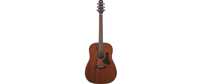IBANEZ AAD140 OPN Гітара акустична