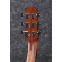 IBANEZ AAD140 OPN Гітара акустична