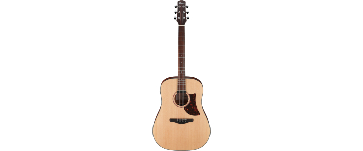 IBANEZ AAD100E Гітара електроакустична