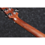 IBANEZ AAD100E Гітара електроакустична