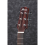 IBANEZ AAD100E Гітара електроакустична