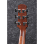 IBANEZ AAD100E Гітара електроакустична