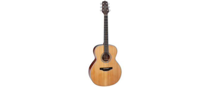 TAKAMINE GN20 NS Гітара акустична