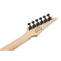 Електрогітара IBANEZ GRGR221PA-AQB