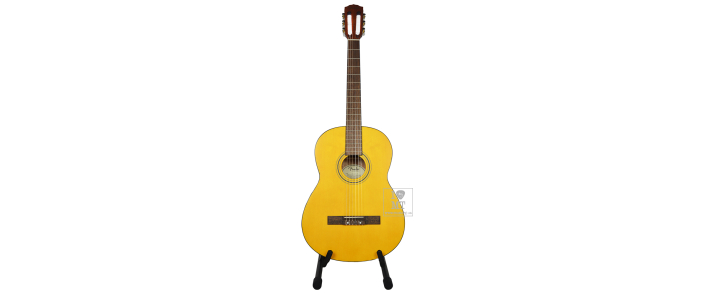 Гітара класична FENDER ESC105