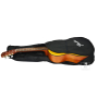 Гітара класична FENDER ESC105