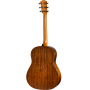 Гитара акустическая TAYLOR GUITARS AD-17