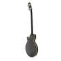 EPIPHONE JACK CASADY BASS EBONY Бас-гітара напівакустична