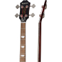 EPIPHONE JACK CASADY BASS FADED PELHAM BLUE Бас-гитара полуакустическая
