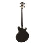 EPIPHONE JACK CASADY BASS METALLIC GOLD Бас-гітара напівакустична