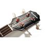 EPIPHONE JACK CASADY BASS METALLIC GOLD Бас-гітара напівакустична