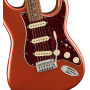 FENDER PLAYER PLUS STRATOCASTER PF ACAR Электрогитара