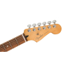 FENDER PLAYER PLUS STRATOCASTER PF ACAR Электрогитара