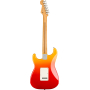 FENDER PLAYER PLUS STRATOCASTER MN TQS Электрогитара